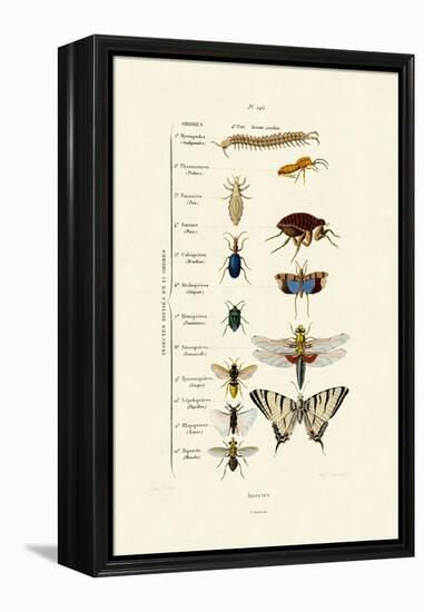 Insects, 1833-39-null-Framed Premier Image Canvas