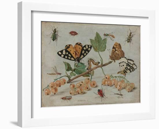 Insects and Fruit, c.1660-5-Jan Van, The Elder Kessel-Framed Giclee Print