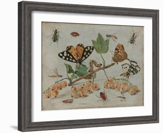 Insects and Fruit, c.1660-5-Jan Van, The Elder Kessel-Framed Giclee Print