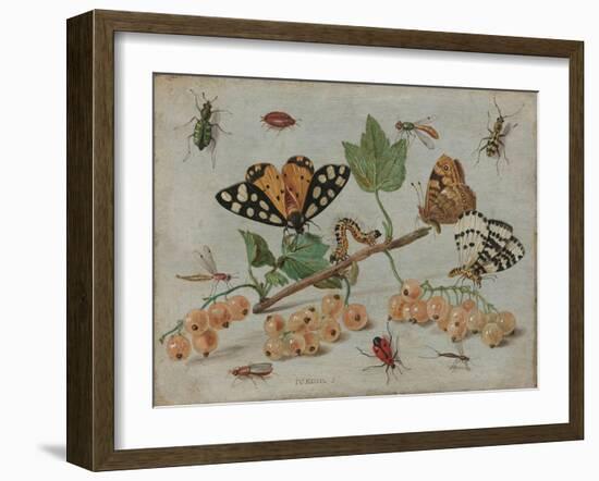 Insects and Fruit, c.1660-5-Jan Van, The Elder Kessel-Framed Giclee Print