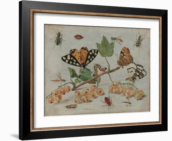 Insects and Fruit, c.1660-5-Jan Van, The Elder Kessel-Framed Giclee Print