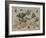 Insects and Fruit, c.1660-5-Jan Van, The Elder Kessel-Framed Giclee Print