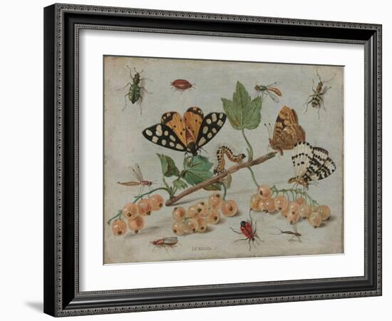 Insects and Fruit, c.1660-5-Jan Van, The Elder Kessel-Framed Giclee Print