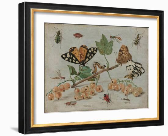 Insects and Fruit, c.1660-5-Jan Van, The Elder Kessel-Framed Giclee Print