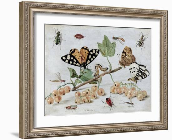 Insects and Fruit-Jan van Kessel-Framed Art Print