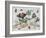 Insects and Fruit-Jan van Kessel-Framed Art Print