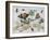 Insects and Fruit-Jan van Kessel-Framed Art Print