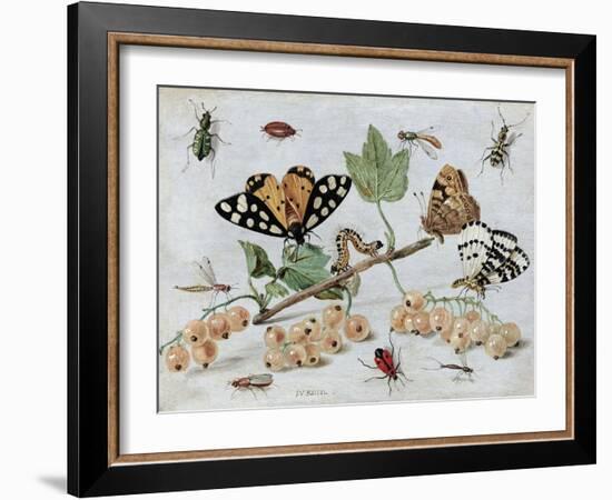 Insects and Fruit-Jan van Kessel-Framed Art Print