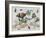 Insects and Fruit-Jan van Kessel-Framed Art Print