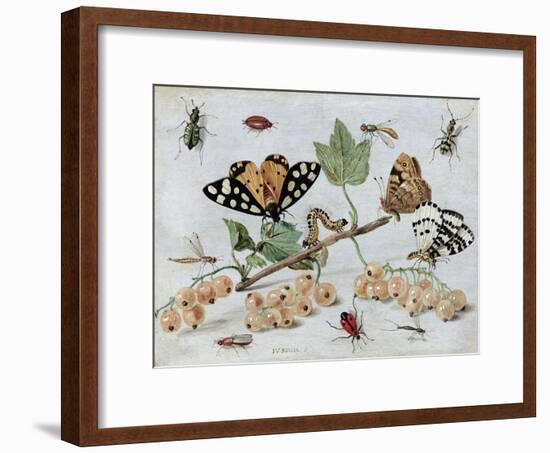 Insects and Fruit-Jan van Kessel-Framed Art Print