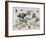 Insects and Fruit-Jan van Kessel-Framed Art Print