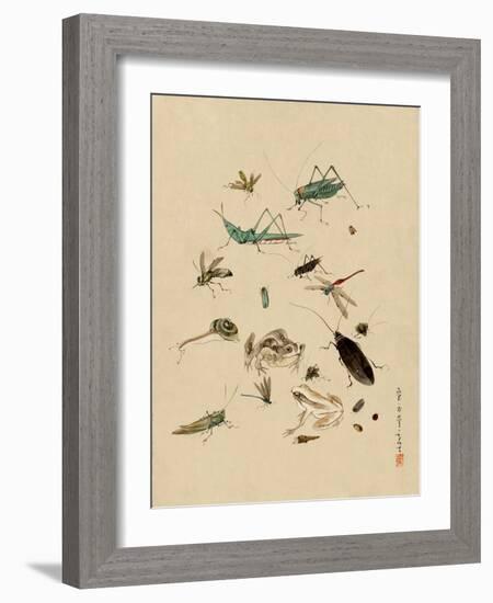 Insects and Toads-null-Framed Art Print