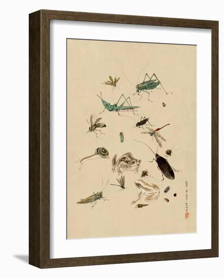 Insects and Toads-null-Framed Art Print