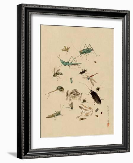 Insects and Toads-null-Framed Art Print