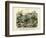 Insects, C.1860-null-Framed Giclee Print