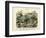 Insects, C.1860-null-Framed Giclee Print