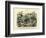 Insects, C.1860-null-Framed Giclee Print