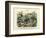 Insects, C.1860-null-Framed Giclee Print