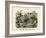 Insects, C.1860-null-Framed Giclee Print