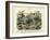 Insects, C.1860-null-Framed Giclee Print