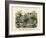 Insects, C.1860-null-Framed Giclee Print