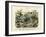 Insects, C.1860-null-Framed Giclee Print