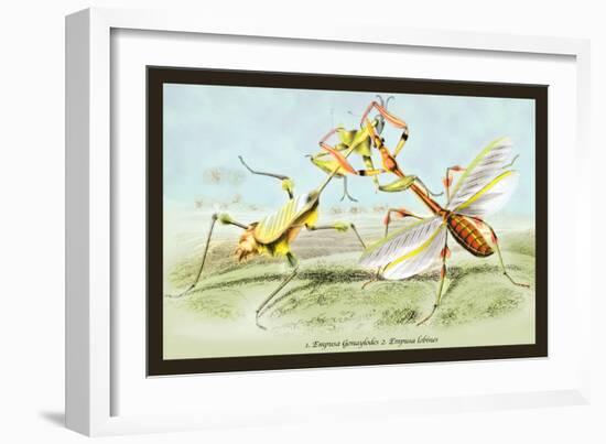 Insects: Empusa Gonaylodes and E. Lobines-James Duncan-Framed Art Print