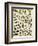 Insects, Including Beetles-null-Framed Giclee Print