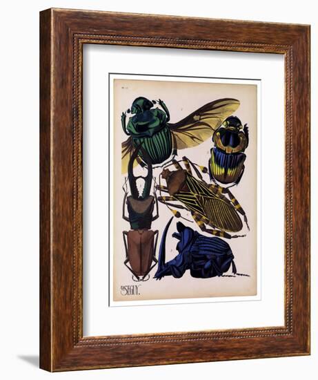 Insects, Plate 7-null-Framed Giclee Print