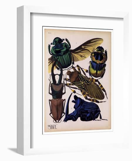 Insects, Plate 7-null-Framed Giclee Print