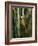 Insects-Gordon Semmens-Framed Photographic Print