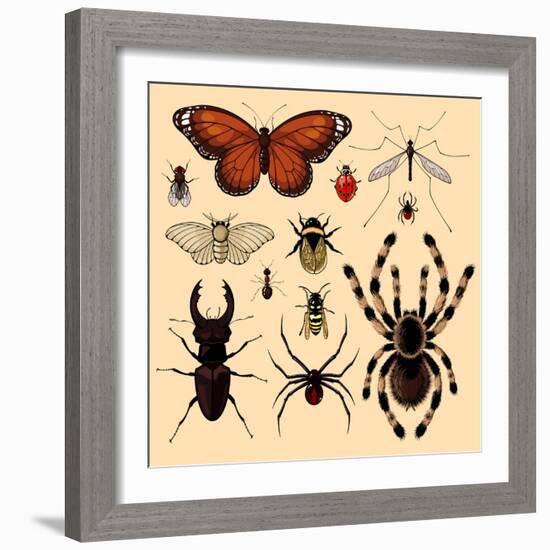 Insects-Alena Kozlova-Framed Art Print