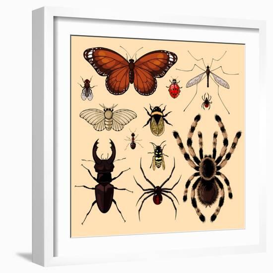 Insects-Alena Kozlova-Framed Art Print