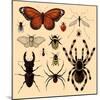 Insects-Alena Kozlova-Mounted Art Print