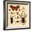 Insects-Alena Kozlova-Framed Art Print