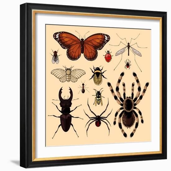 Insects-Alena Kozlova-Framed Art Print