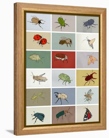 Insects-Eliza Southwood-Framed Premier Image Canvas