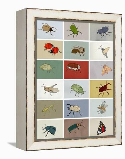 Insects-Eliza Southwood-Framed Premier Image Canvas