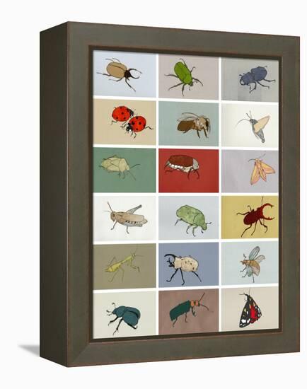 Insects-Eliza Southwood-Framed Premier Image Canvas