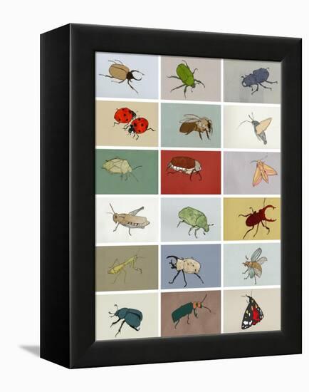 Insects-Eliza Southwood-Framed Premier Image Canvas