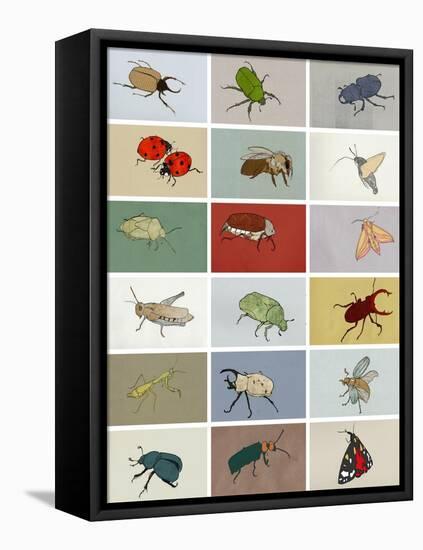 Insects-Eliza Southwood-Framed Premier Image Canvas