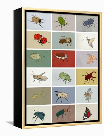 Insects-Eliza Southwood-Framed Premier Image Canvas