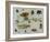 Insects-Jan van Kessel the Elder-Framed Giclee Print