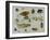 Insects-Jan van Kessel the Elder-Framed Giclee Print