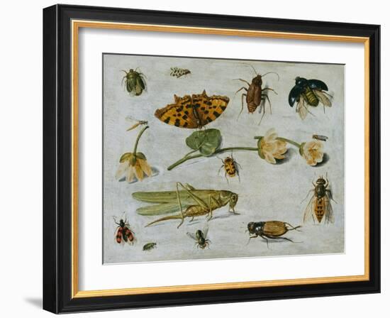 Insects-Jan van Kessel the Elder-Framed Giclee Print