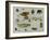 Insects-Jan van Kessel the Elder-Framed Giclee Print