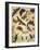 Insects-Richard Andre-Framed Giclee Print