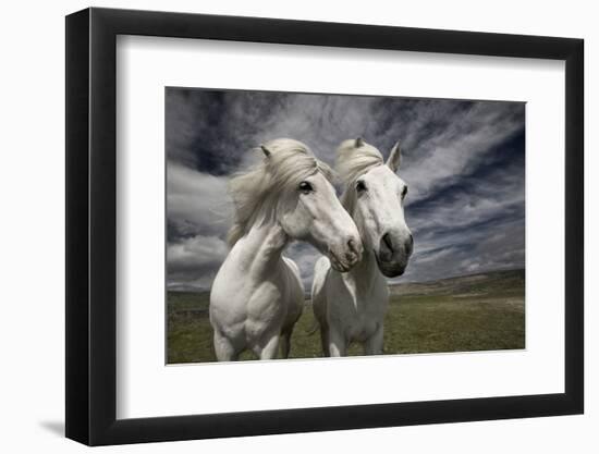 Inseparables-Bragi Ingibergsson --Framed Photographic Print