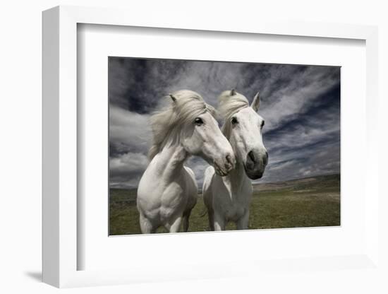 Inseparables-Bragi Ingibergsson --Framed Photographic Print