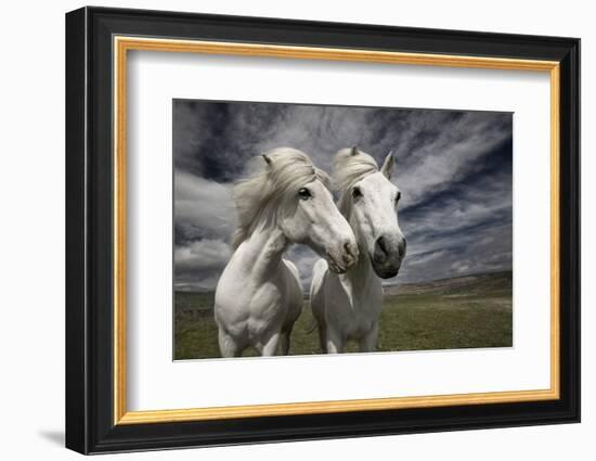 Inseparables-Bragi Ingibergsson --Framed Photographic Print